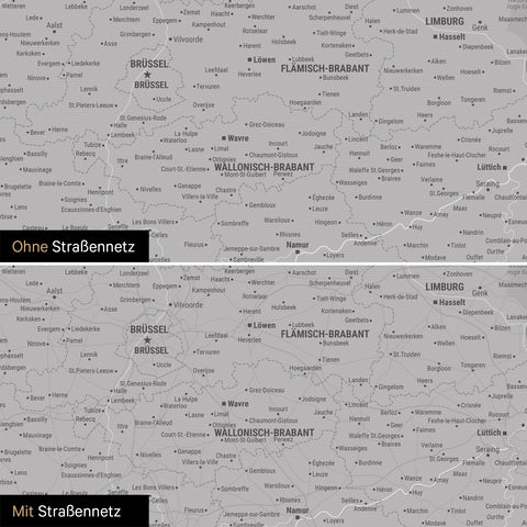 Mappa del Benelux per puntine TRAVEL® – Grigio freddo