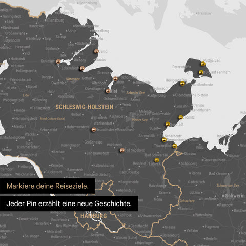 Detail einer Deutschland-Karte als Pinn-Leinand in Grau mit Pins in Schleswig-Holstein