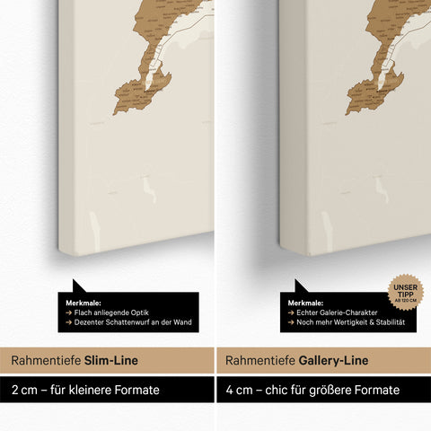 Mappa della Svizzera per puntine TRAVEL® – Bronzo