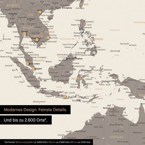 Dettaglio di una mappa magnetica del mondo in Warmgray (marrone-grigio) che mostra la mappa dell'Asia, con magneti che indicano le destinazioni di viaggio